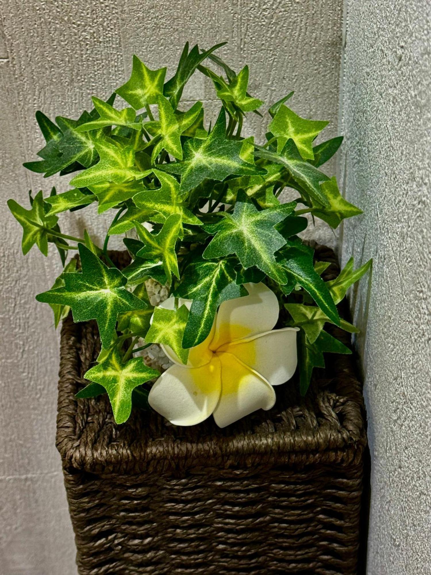 Modern And Traditional Fusion Villa In Umeda 3-Min Walk To Subway Ideal For Families And Groups Osaka Exteriör bild